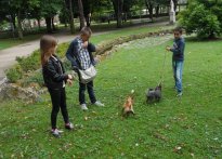 Férias Verão - 2014